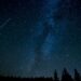 silhouette of trees during nighttime