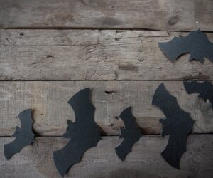 black paper bats decors on wooden table