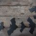 black paper bats decors on wooden table